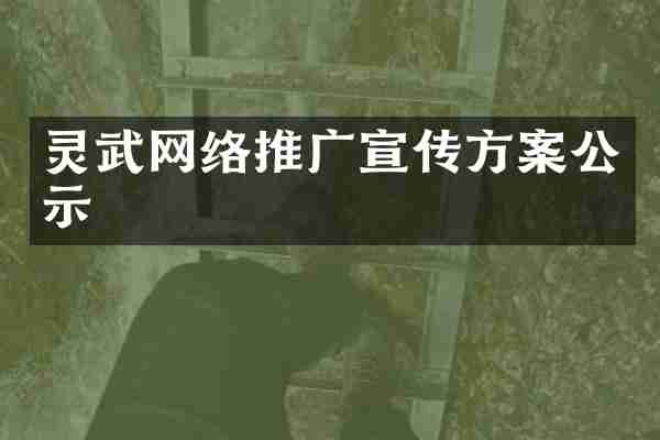 灵武网络推广宣传方案公示
