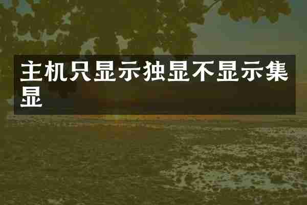 主机只显示独显不显示集显