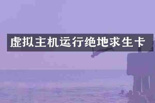 虚拟主机运行绝地求生卡