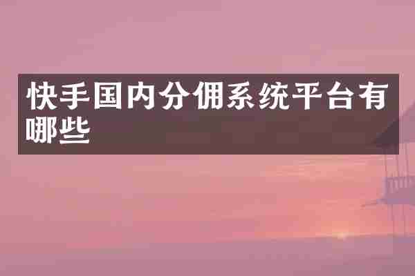 快手国内分佣系统平台有哪些