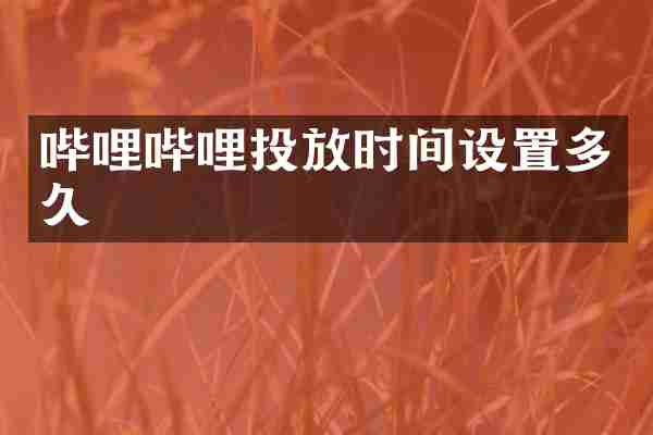 哔哩哔哩投放时间设置多久