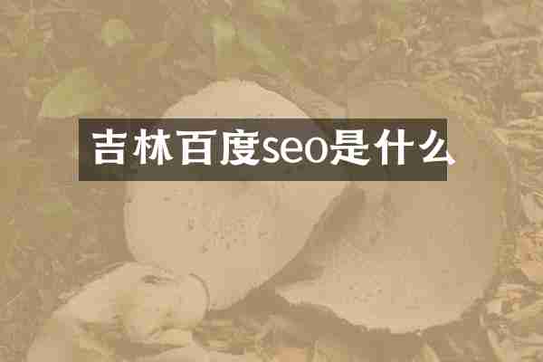吉林百度seo是什么