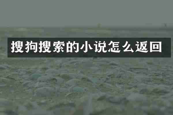 搜狗搜索的小说怎么返回