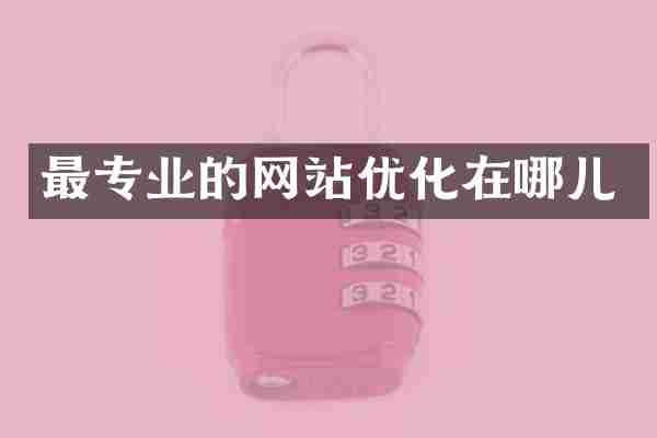最专业的网站优化在哪儿