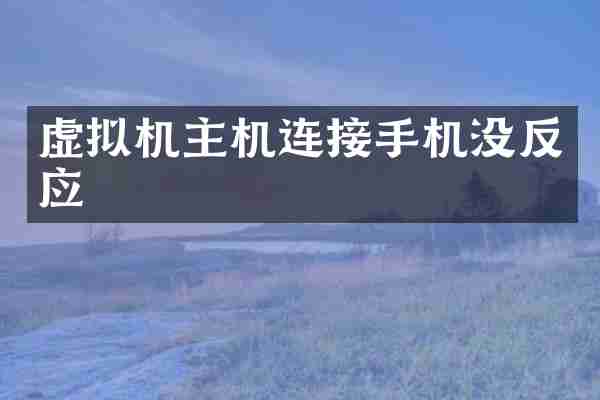 虚拟机主机连接手机没反应