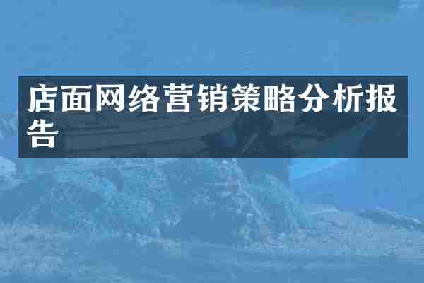 店面网络营销策略分析报告