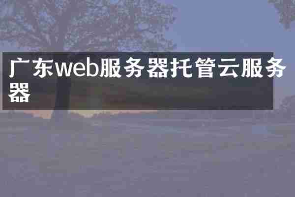 广东web服务器托管云服务器