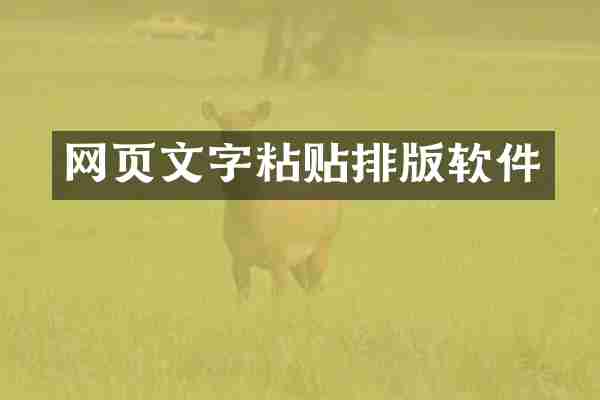 网页文字粘贴排版软件