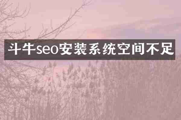 斗牛seo安装系统空间不足