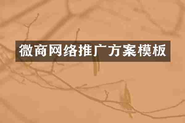 网络推广方案模板