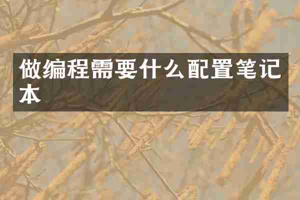 做编程需要什么配置笔记本