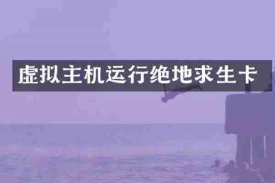 虚拟主机运行绝地求生卡