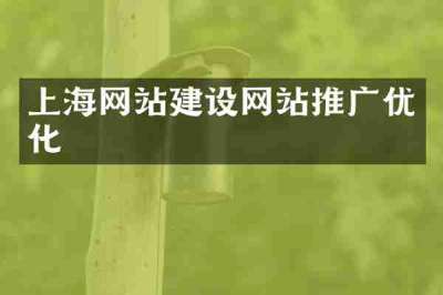 上海网站建设网站推广优化