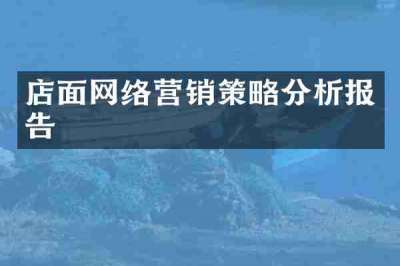 店面网络营销策略分析报告