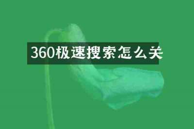 360极速搜索怎么关