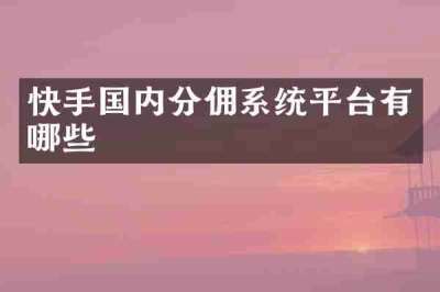 快手国内分佣系统平台有哪些