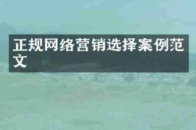 正规网络营销选择案例范文