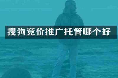 搜狗竞价推广托管哪个好