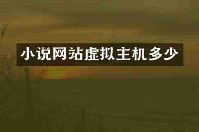 小说网站虚拟主机多少