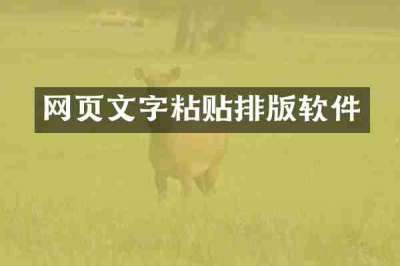 网页文字粘贴排版软件