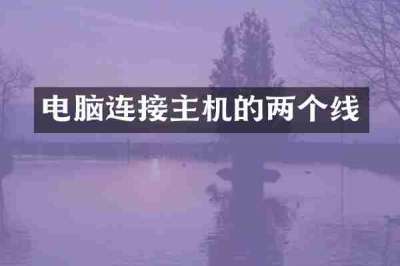 电脑连接主机的两个线