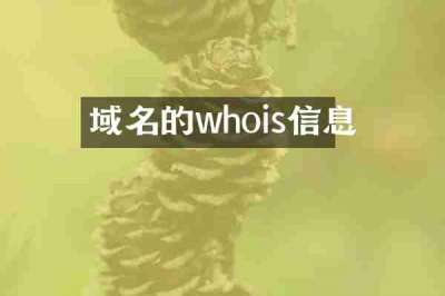 域名的whois信息