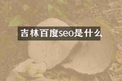 吉林百度seo是什么