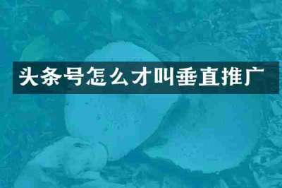头条号怎么才叫垂直推广