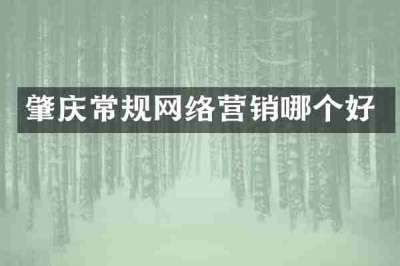 肇庆常规网络营销哪个好