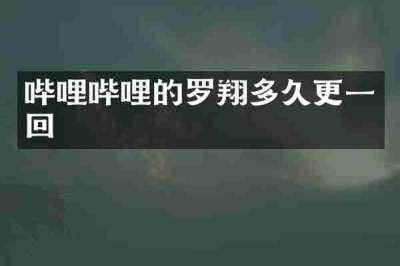 哔哩哔哩的罗翔多久更一回