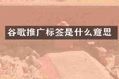 谷歌推广标签是什么意思
