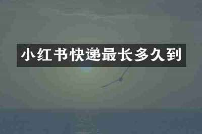 小红书快递最长多久到