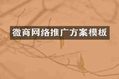 微商网络推广方案模板