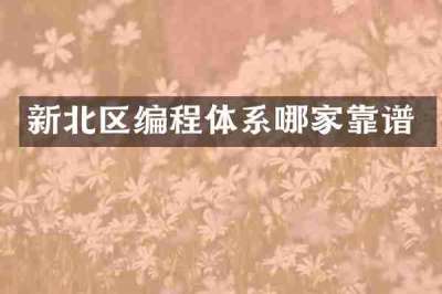 新北区编程体系哪家靠谱