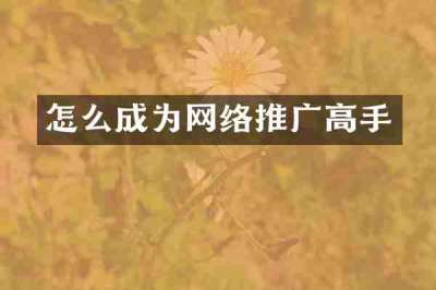 怎么成为网络推广高手