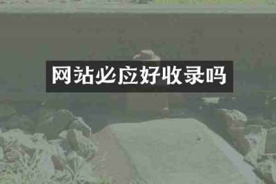 网站必应好收录吗