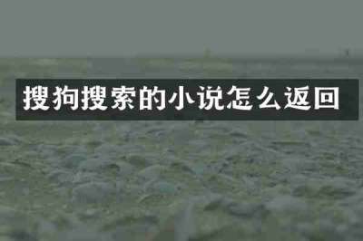 搜狗搜索的小说怎么返回
