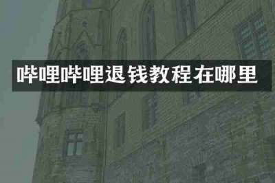哔哩哔哩退钱教程在哪里
