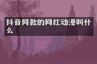 抖音同款的网红动漫叫什么