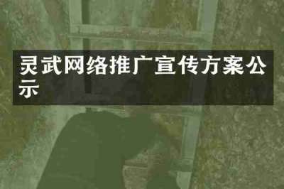 灵武网络推广宣传方案公示