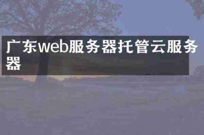 广东web服务器托管云服务器