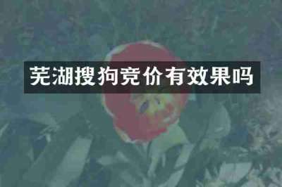 芜湖搜狗竞价有效果吗