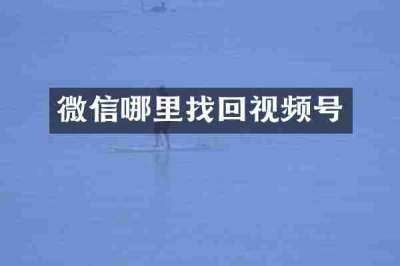 微信哪里找回视频号
