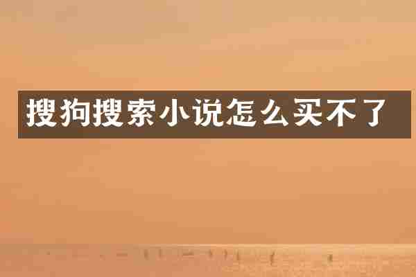搜狗搜索小说怎么买不了