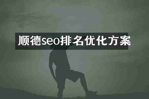 顺德seo排名优化方案