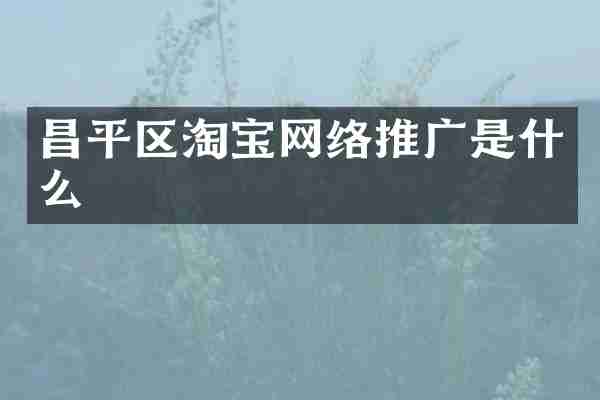 昌平区淘宝网络推广是什么