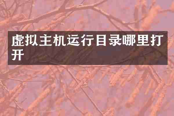 虚拟主机运行目录哪里打开