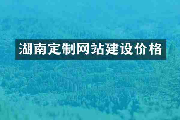 湖南定制网站建设价格