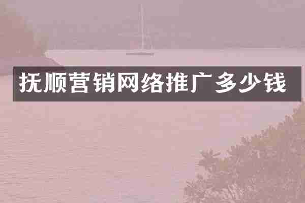 抚顺营销网络推广多少钱
