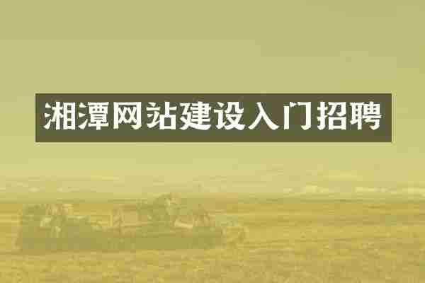 湘潭网站建设入门招聘